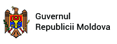 guvernul