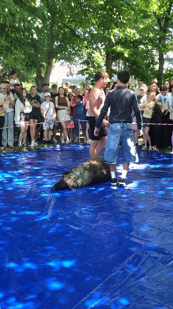 photo_2026-06-14_14-22-31